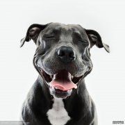 【熊猫体育】亿城苏州项目发信托2.45亿